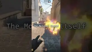 Source 2 Molotov Showcase!