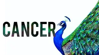 CANCER IT'S TIME TO STAND UP AND BE SEEN - JUNE 29 - JULY 5
