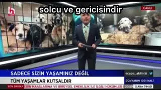 solcu ve gericisindir