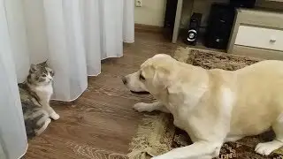 И снова здравствуйте!
