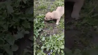 Маленькая Барби♥️