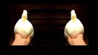 we are da two ducks who hacked dis account
