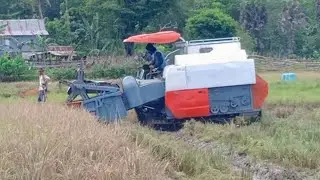 Mesin Panen Padi|| COMBI Padi, DOSER Padi #390