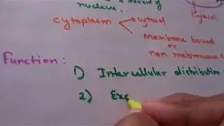 CYTOPLASM AND ITS FUNCTION
