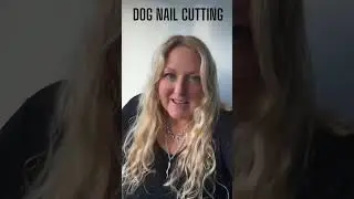 How To Cut Dogs Nails