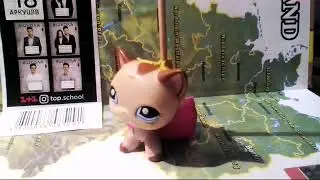 Как сделать тетрадку для LPS