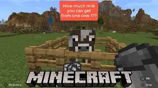 HOW MUCH MILK YOU CAN GET FROM ONE COW ??? MINECRAFT