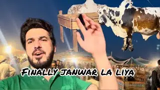 Finally qurbni k janwar la liya last day | new Eid vlogs