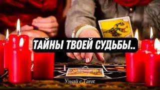 Какую Правду Вы Узнаете..⁉️На Пороге каких Событий Вы стоите ⁉️Расклад Tarot Nemo 