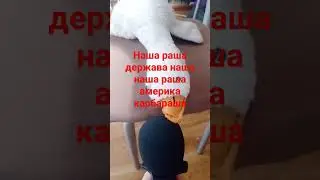 наша раша держава наша наша раша америка карбараша