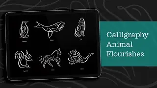 8 Animal Flourishes in Procreate