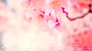 Tiffany Day - 15 Minute Song