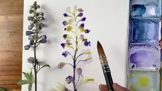 Loose Expressive Watercolor Florals | Tips and Techniques with Delphinium