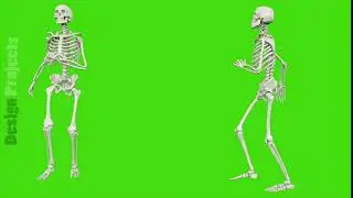 Skeleton walk. Seamless loop animation on green screen.