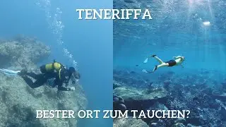 Einzigartiges Taucherlebnis auf Teneriffa! Highlights