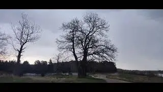 Любимое Подмосковье!!