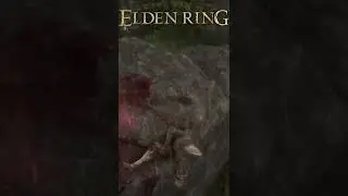 Elden Ring | Still alive and kicking..LOL