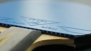 [TT] Lion Vanquish