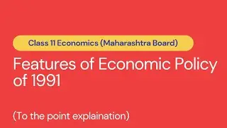 Features of Economic Policy 1991 | Class 11