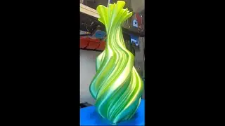 Geeetech MIZAR M printing in Vase Mode