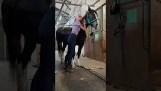 У всех своя медитация😎🐎 