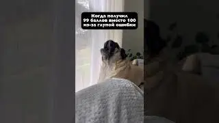 99 баллов 