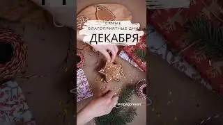 Лучшие дни ДЕКАБРЯ 💫 2023