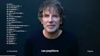 Thomas Fersen - Best Of (Les papillons, Pièce montée des grands jours...)