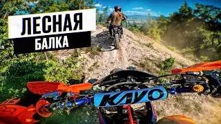 НОВИЧОК НА ПИТБАЙКЕ! ПЕРВЫЙ РАЗ ПРОЕХАЛ В ЛЕСНУЮ БАЛКУ 🤯