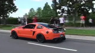 Mustangs Just Doing Mustang Things...