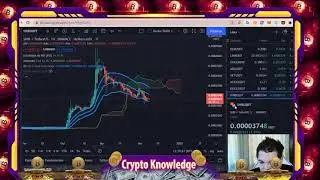 Shiba Inu: Elon Musk & SHIB Holders predict $0.08 per SHIB, new listing confirmed, SHIBA BIG UPDATE