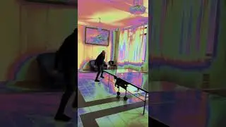 Настольный теннис в GOLDEN FAMILY