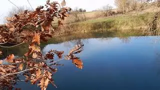 Discussion de fin d'année.