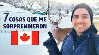 7 Cosas que me han Sorprendido de Canadá 🇨🇦 (Lethbridge, Alberta)