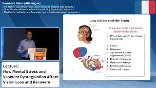 How Mental Stress and Vascular Dysregulation Affect Vision Loss and Recovery (French Version)