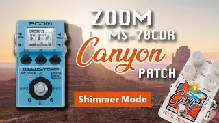 🏔️CANYON DELAY🏔️ Amazing Zoom MS-70CDR (shimmer mode)