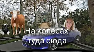 Несколько дней из нашей жизни во Франции. Начало отделки коридора. 