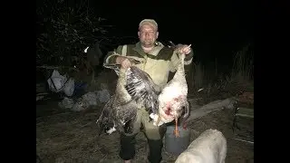 Охота на гуся. Нанайский район.