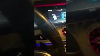 #мерин