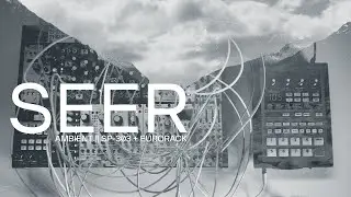 Ambient SP-303 + Eurorack || Seer