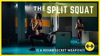 Use the SPLIT SQUAT for sports performance REHAB