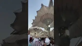 Güzel Medinem #medine #madina #shorts