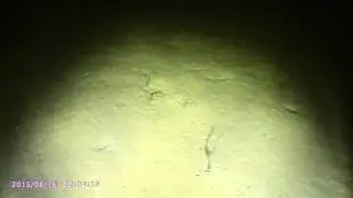 Белое море часть 5