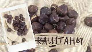 Как приготовить каштаны в духовке. Жареные каштаны