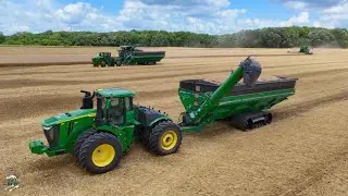 Wheat Harvest 2025 at Crossroad Farms in Indiana