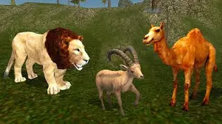Ultimate Ibex vs Lion Camel Animals | Animal Simulator Gameplay | Hannu Games