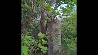ЧУДЬ