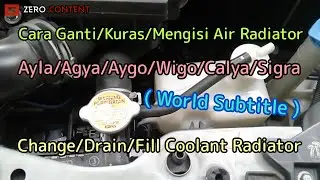 How to Change Ayla Agya Wigo 1.2 Radiator Water - DIY Coolant Radiator Calya Sigra