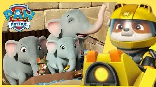 The Pups Save Jungle Elephants + MORE | PAW Patrol | Cartoons for Kids