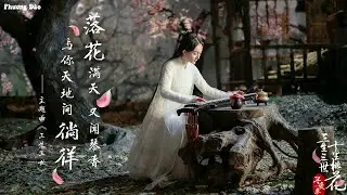 Beautiful Chinese Music Traditional Best Instrument Bamboo Flute Zither